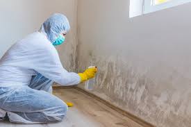 Best HVAC Mold Inspection and Cleaning  in San Felipe, TX